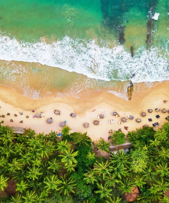 8 Days 7 Nights